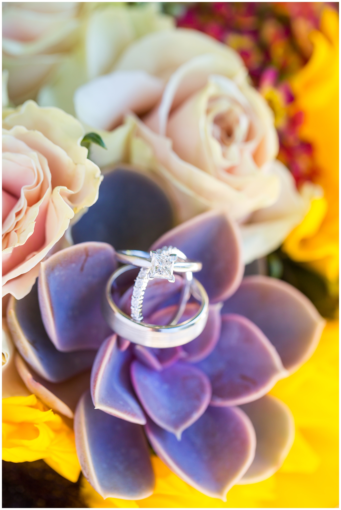 wedding rings on purple succulent bouquet