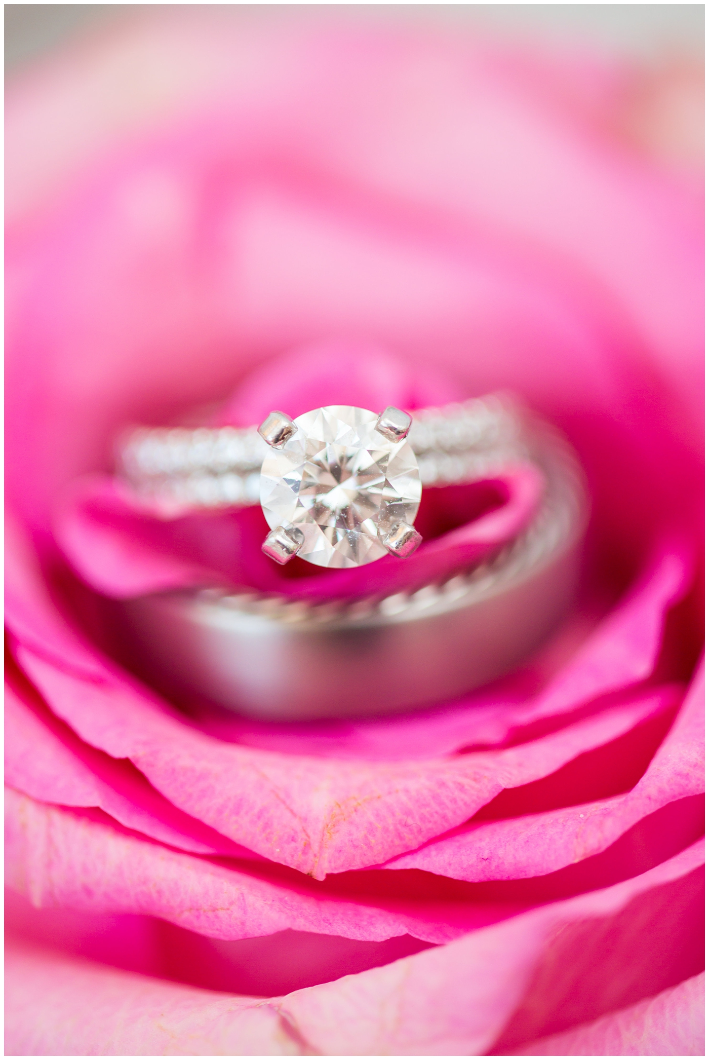 diamond wedding ring on pink rose detail shot