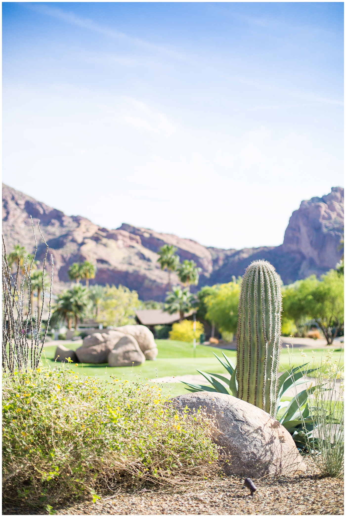mountain shadows landscape and view in arizona wedding
