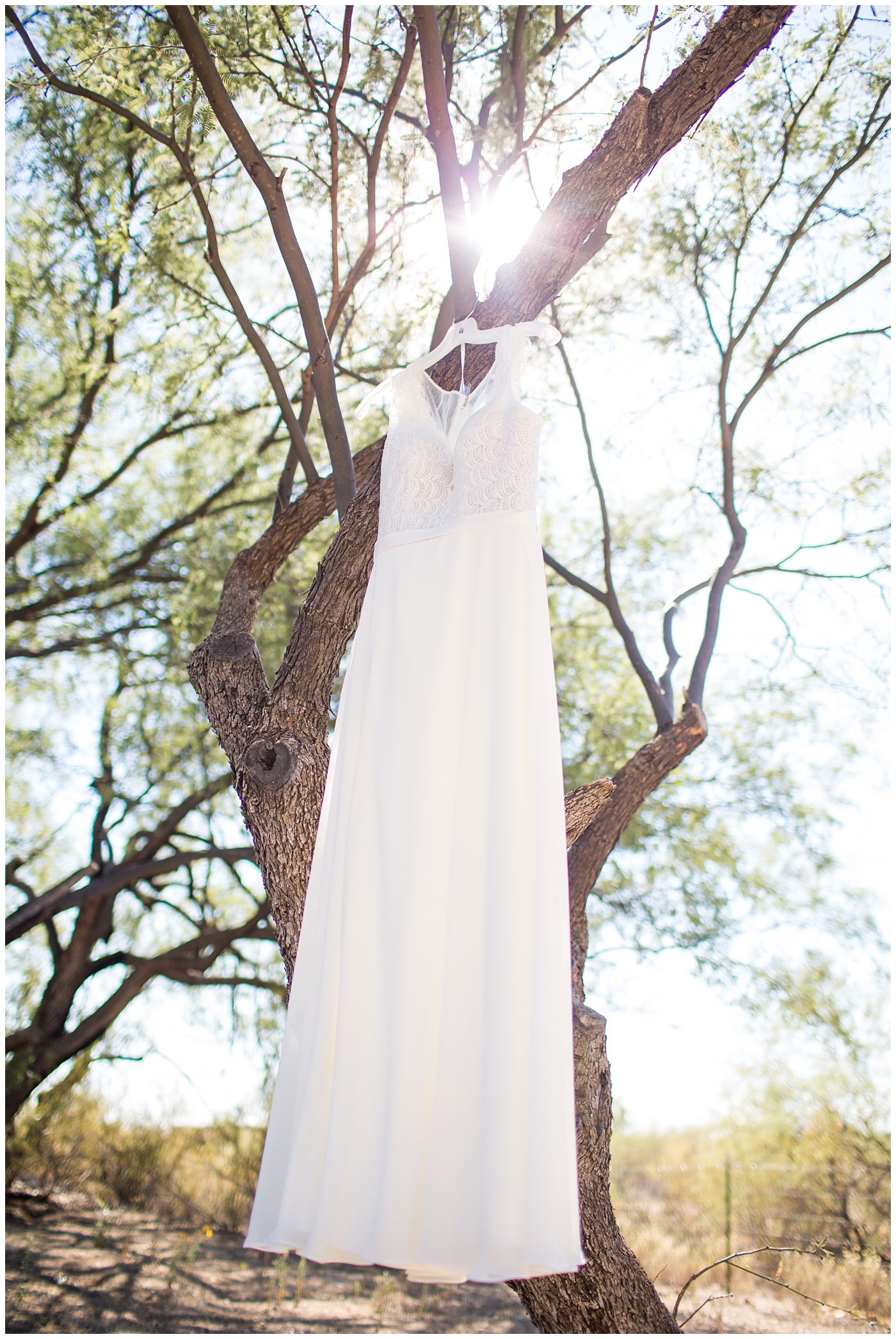 Beautiful wedding dress hanging from tree