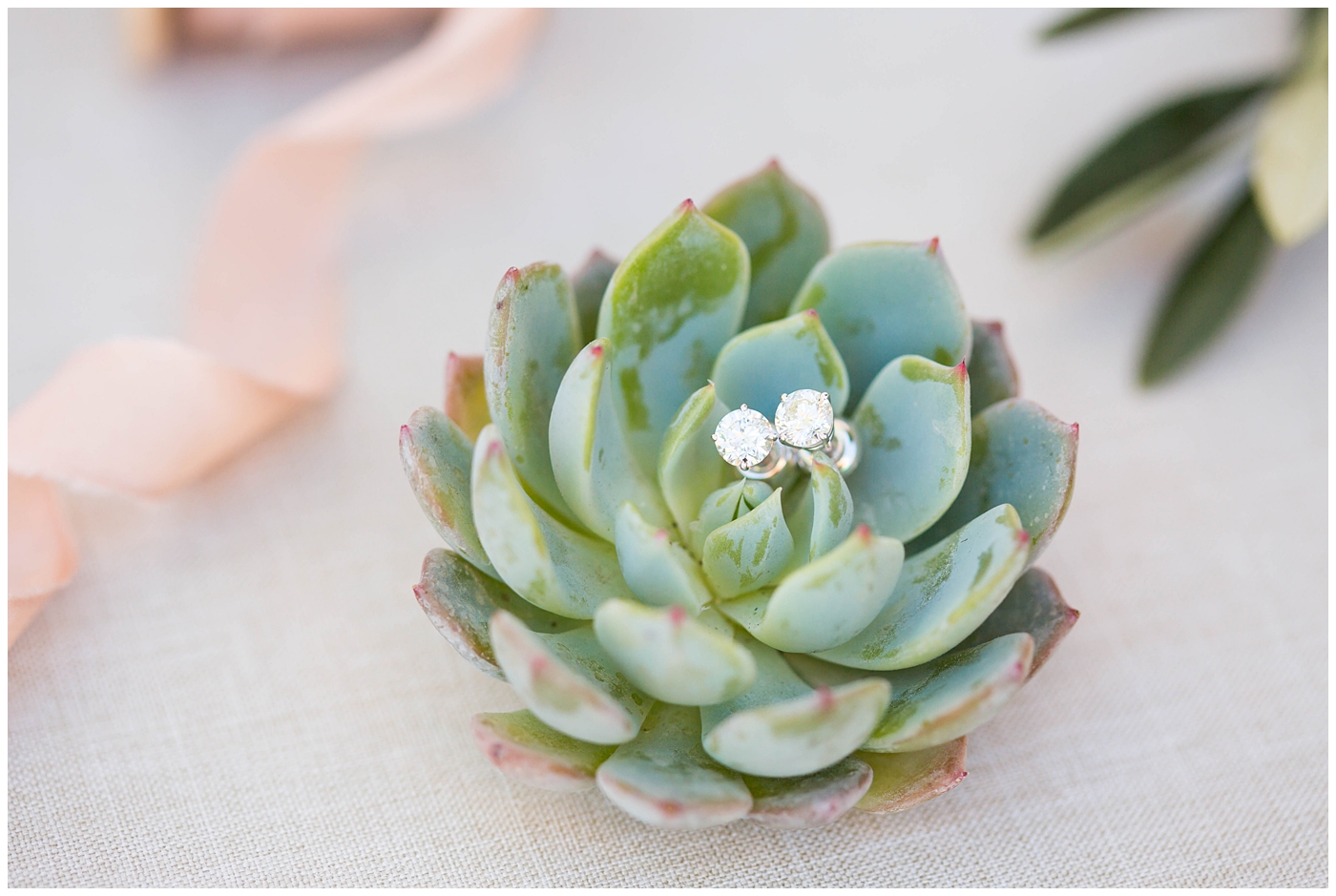 wedding earrings on succulent